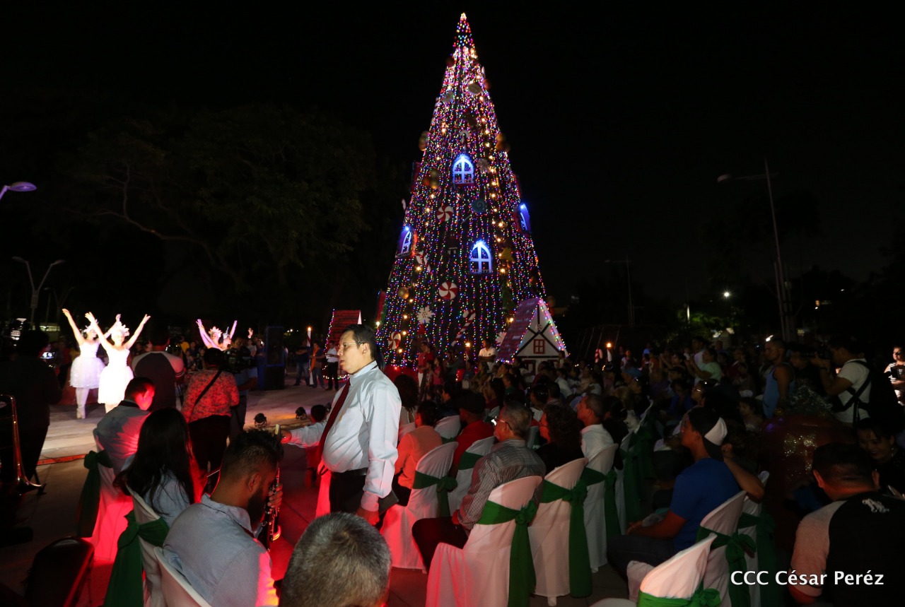 arbol1